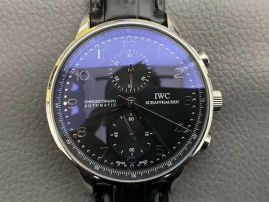 Picture of IWC Watch _SKU1767773999671532